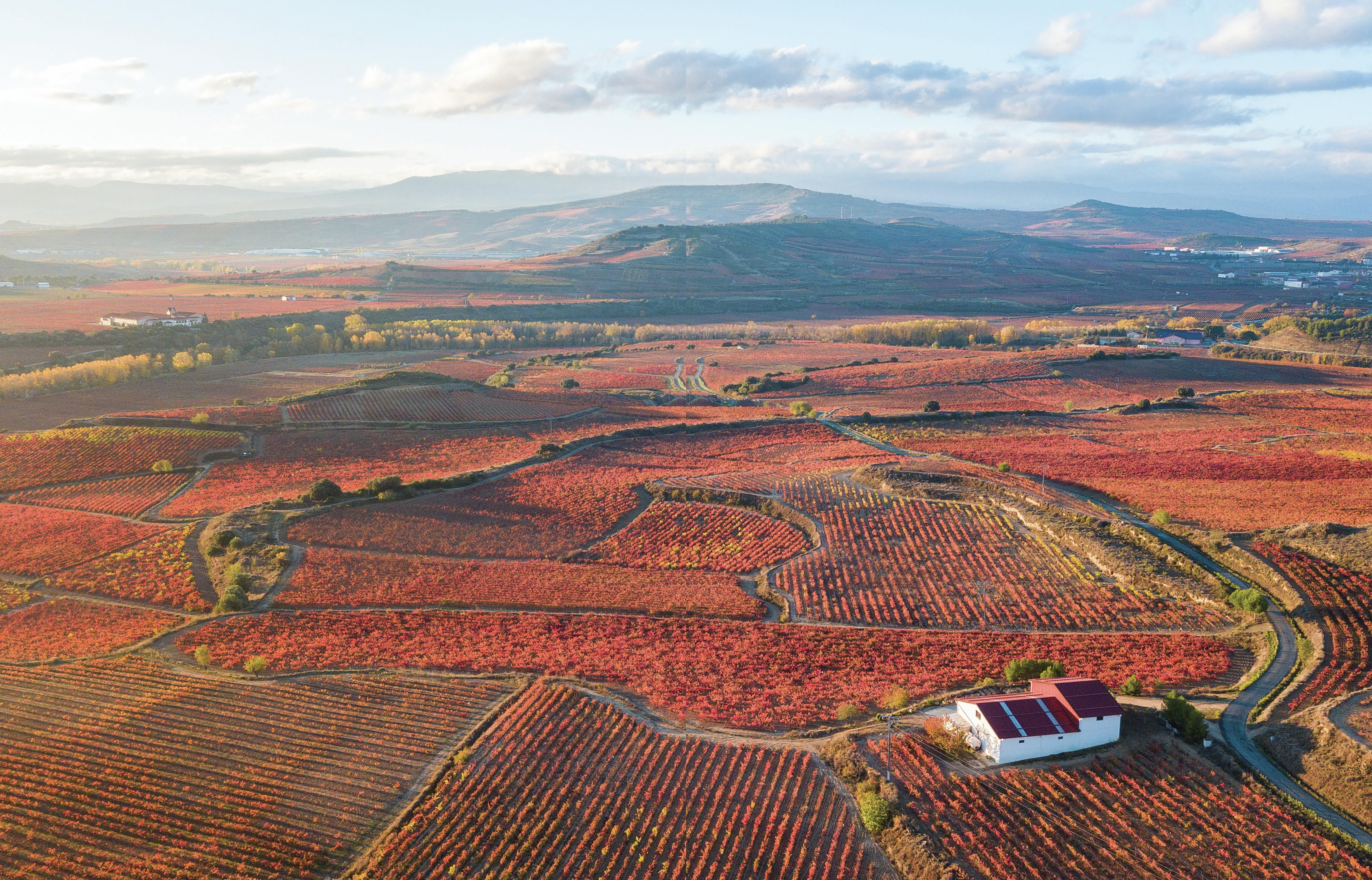 Does the Vino de Autor category in Rioja need pinning down?