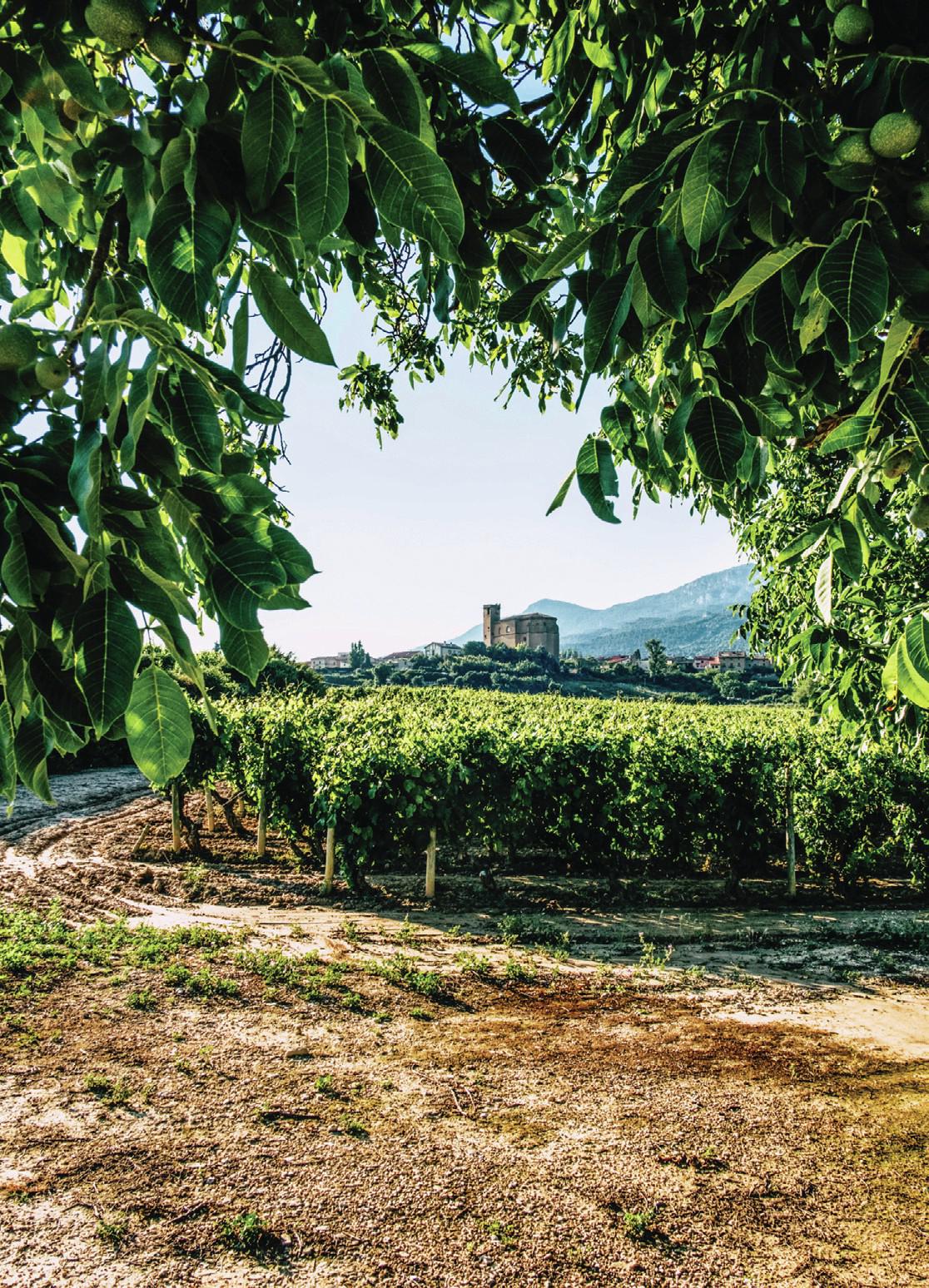 Does the Vino de Autor category in Rioja need pinning down?