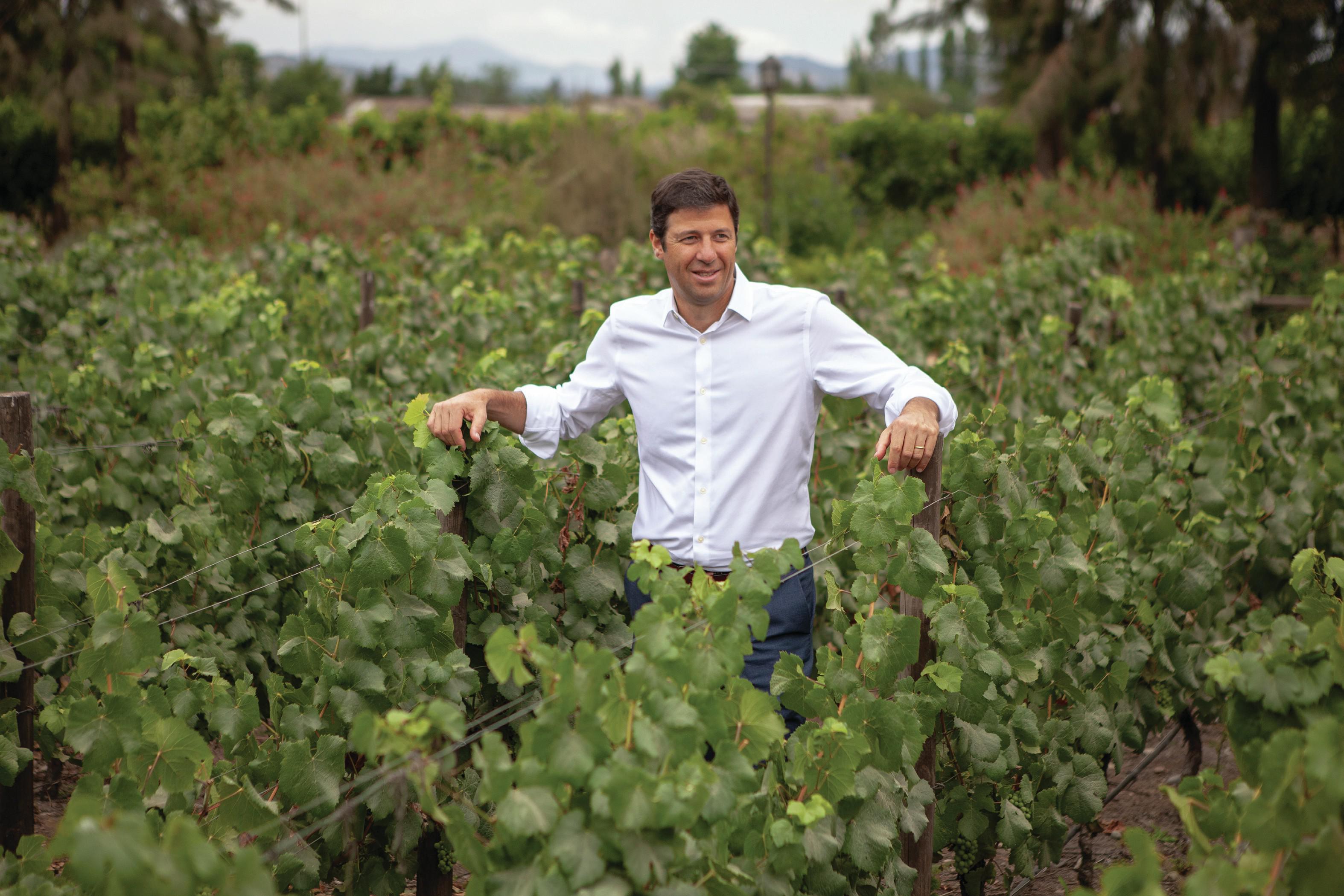 Blaze of Glory: Chile winemakers rise above fire damage