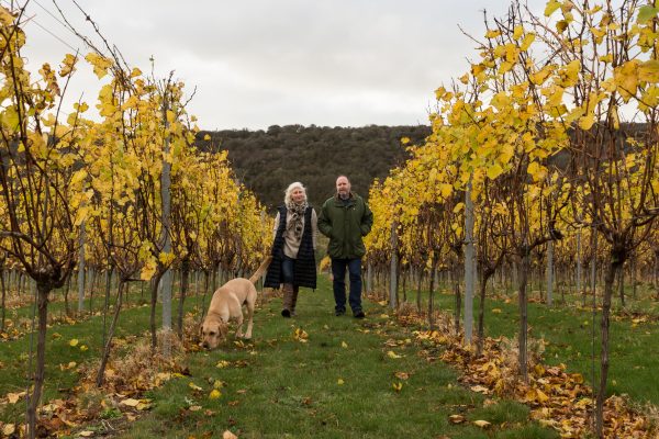 English estate Rathfinny joins Liberty Wines