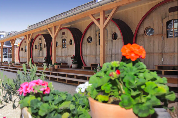 Dutch hotel offering overnight stays in a wine barrel