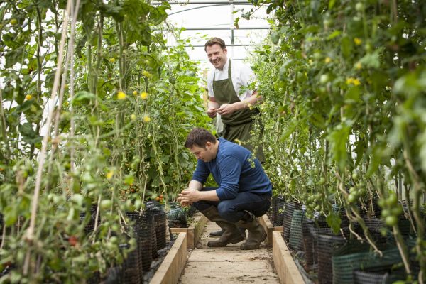 23 UK restaurants scoop green Michelin stars