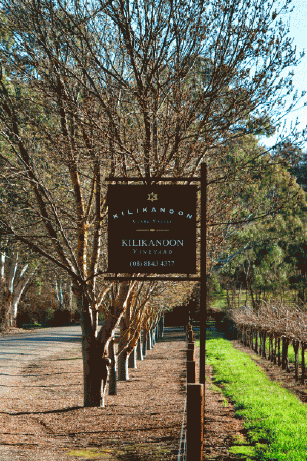 Social media campaign in Australia targets Chinese-owned wineries