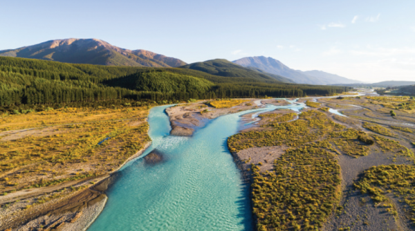 The best wines from the Sauvignon Blanc Masters