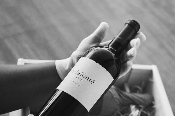 Top South African labels gaining traction