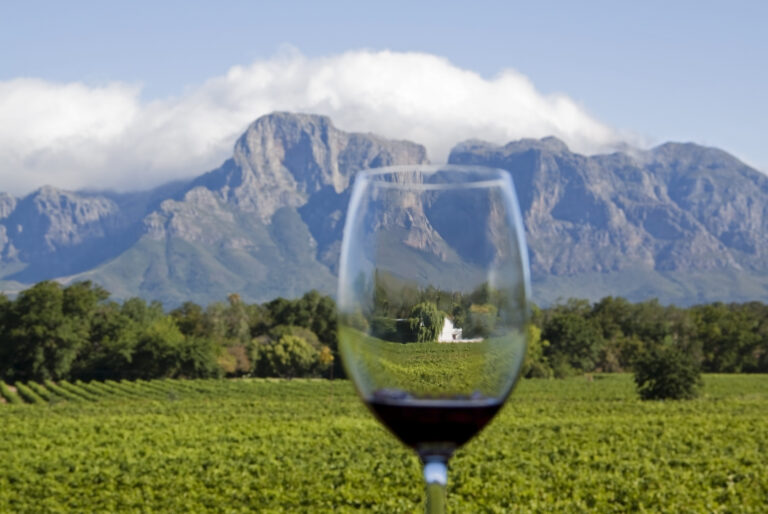 South African wine exports to UK leap by 20 in 2021