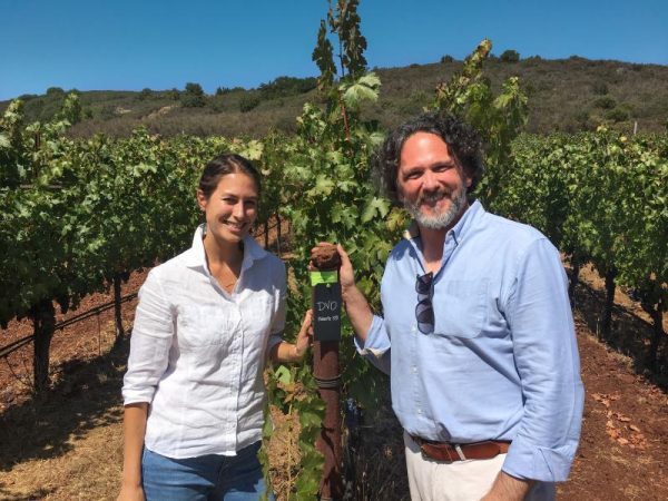 Ornellaia announces new Napa project