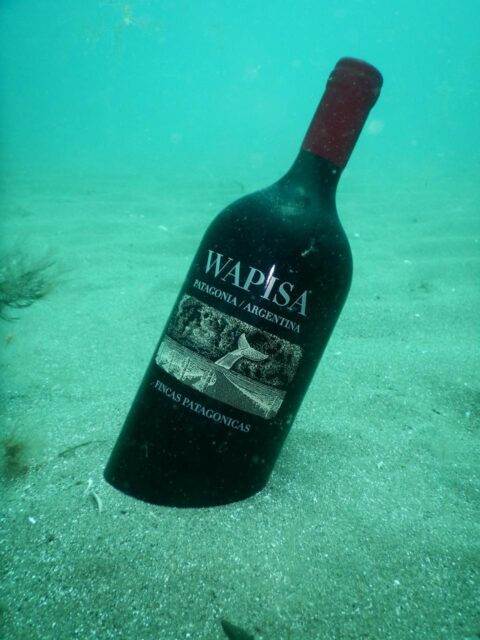 A bottle of wine ageing underwater