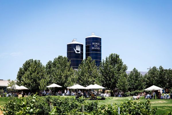 Bird in Hand winery announces Tasmania project