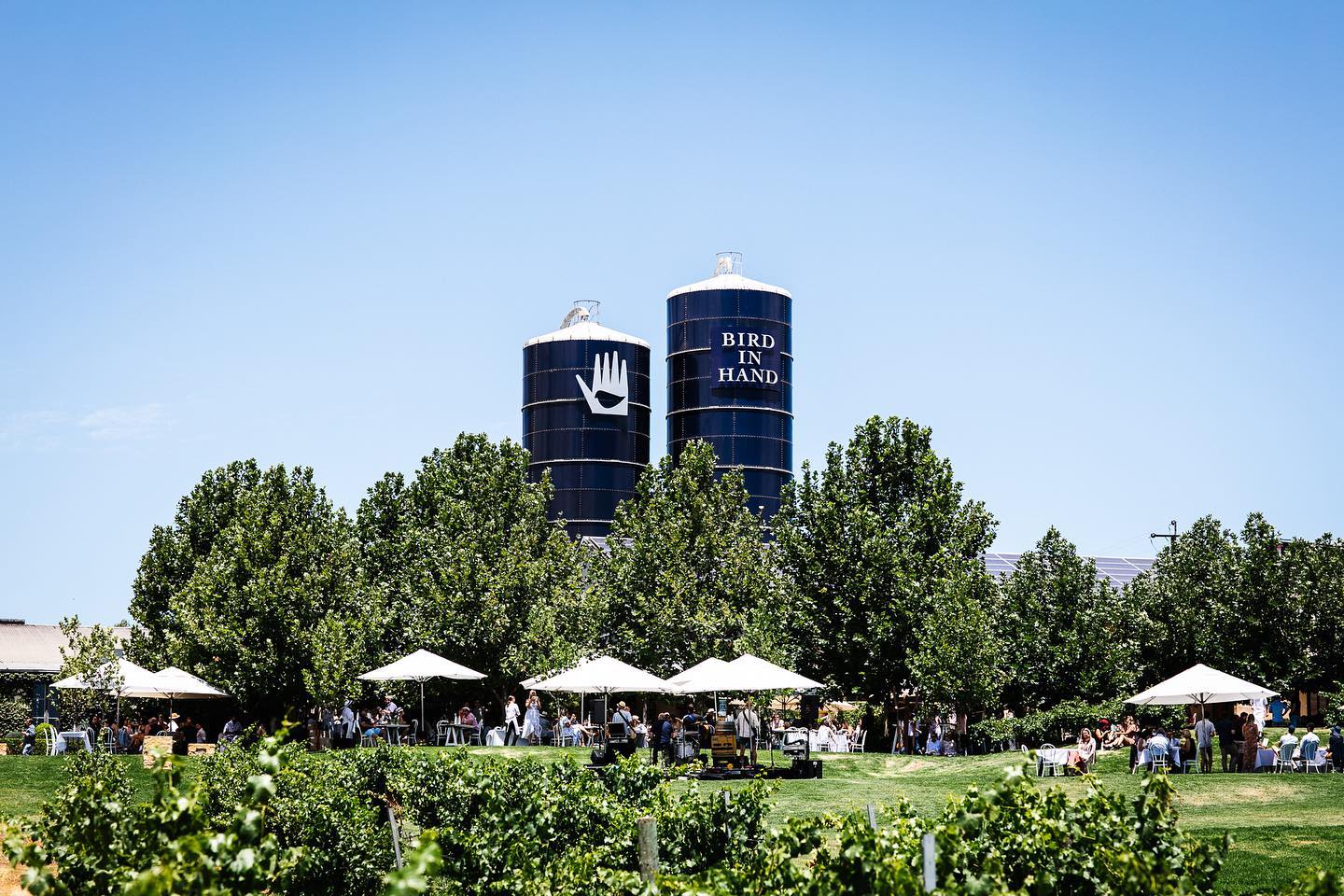 Bird in Hand winery announces Tasmania project