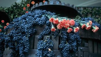 12 magnificent rule-breaking Riojas