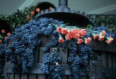 12 magnificent rule-breaking Riojas