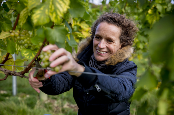 Five inspiring women working in English wine