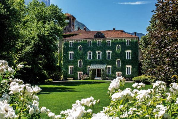 In focus: How the pandemic has affected fine wine’s middle tier