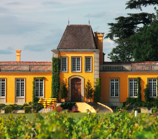 Boissenot and Berrouet to blend Lafon-Rochet 2020