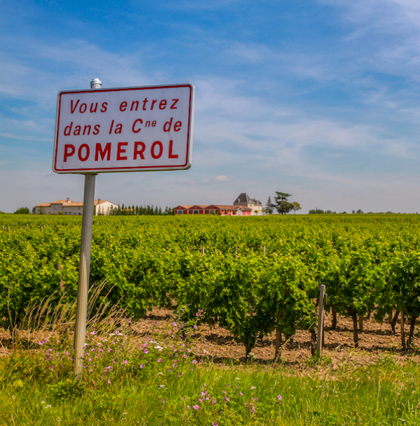 Bordeaux 2020 vintage report