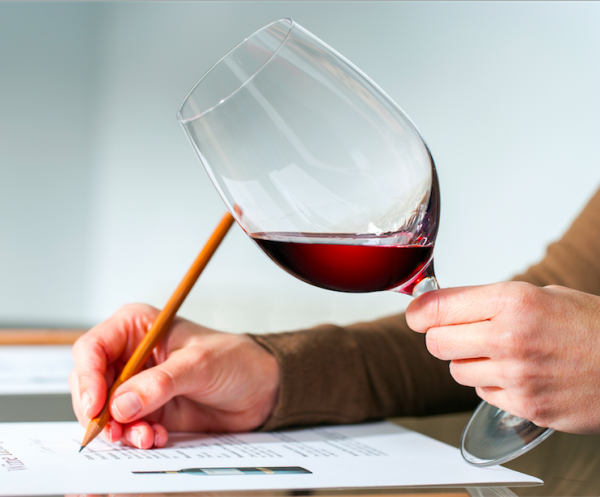 Global consultancy for the drinks trade launches