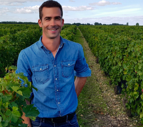 Bordeaux needs to rethink its grape plantings