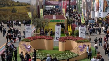 Vinitaly: Italian minister calls for ‘wine’ to be removed from alcohol-free products