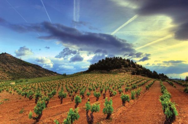 Rioja Wine UK launches ‘Rioja Residency’ event