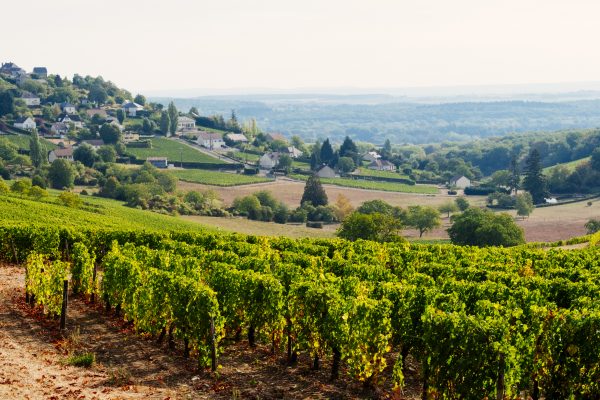 Rebecca Gibb MW to host Loire Valley masterclasses
