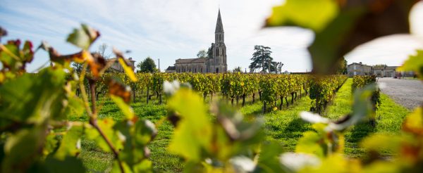 Pomerol can offer relative value – if you know where to look for it