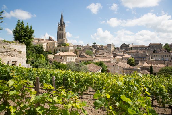 Bordeaux appellations affected by heatwaves allowed to irrigate