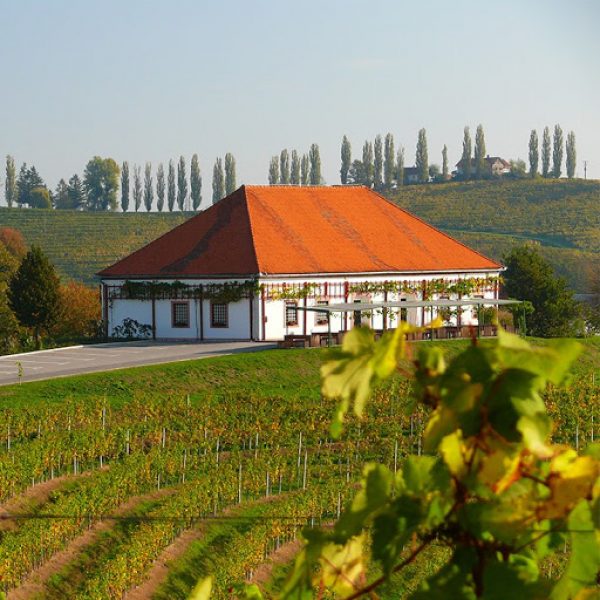 Producer profile: Puklavec Family Wines
