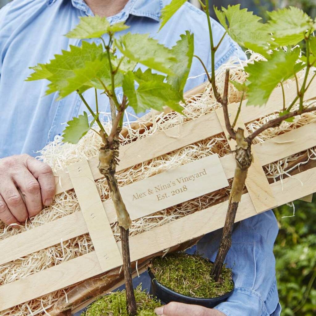 Mother's Day gifts - personalised vineyard