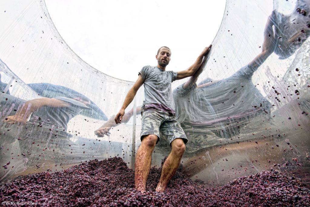 Wine Photographer of the Year
