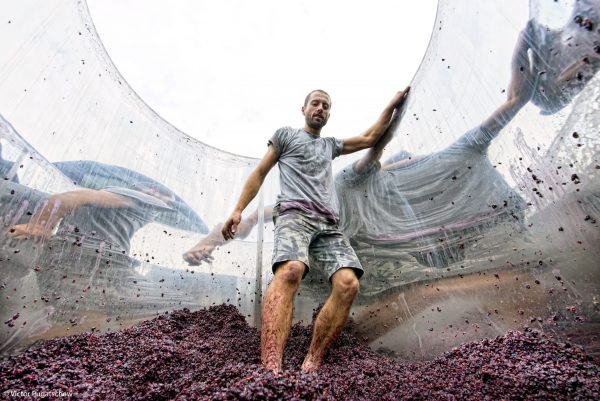 The week in pictures