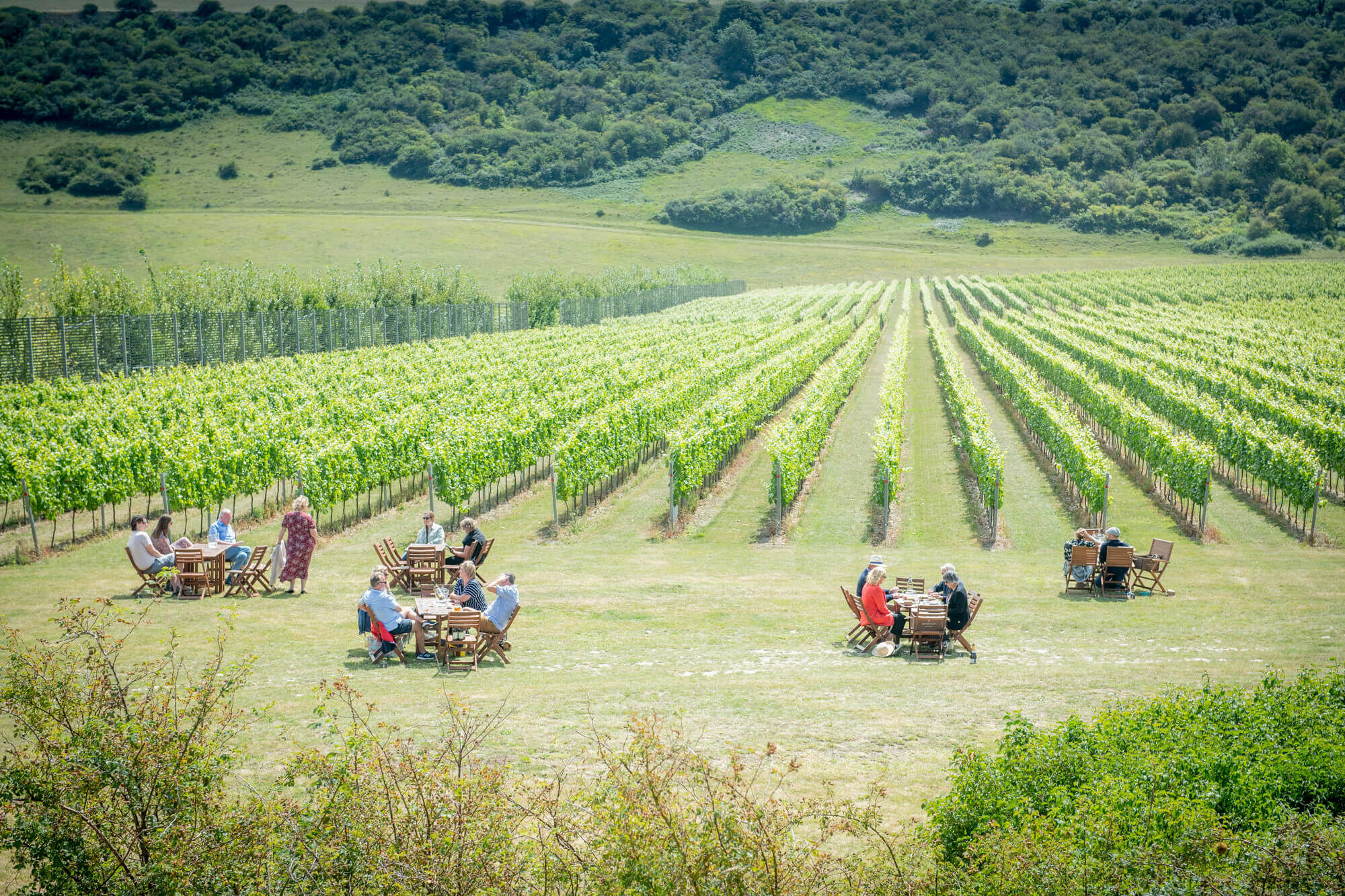 Rathfinny spared from devastating late spring frosts The Drinks Business