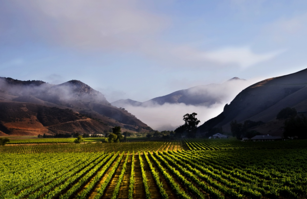 Vintage Wine Estates receives further $100m in backing