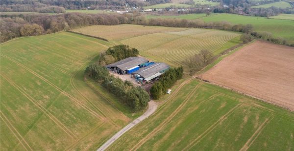 English Pinot Noir-focused vineyard put up for sale