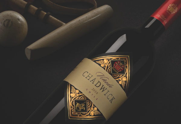 Southern star shines: the story of Viñedo Chadwick