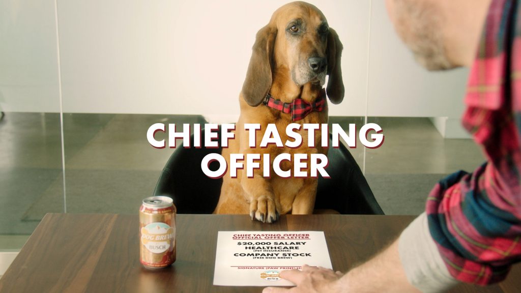 Dog Brew Taste Tester Job