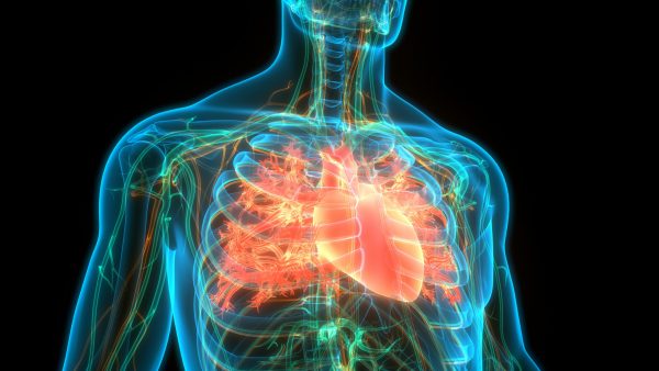 Man suffers heart failure after drinking four cans of energy drink a day