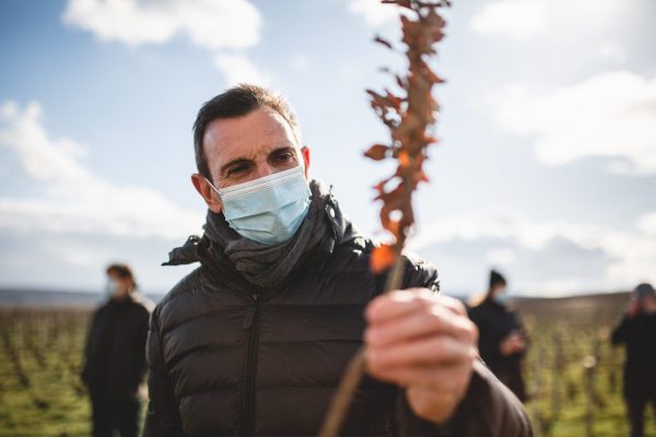 Ruinart brings ecology back to Champagne vineyards