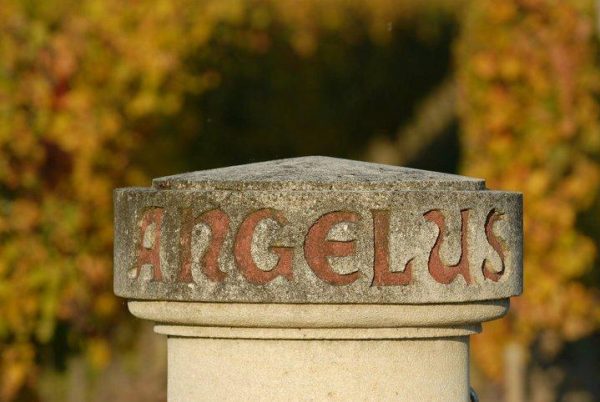 En primeur first releases head out of the gate: Angelus