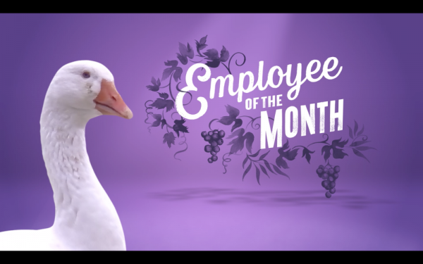 Cono Sur wine brand to launch digital ad campaign