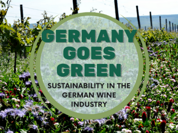Featured wines now available for ‘Germany Goes Green’ free live webinar