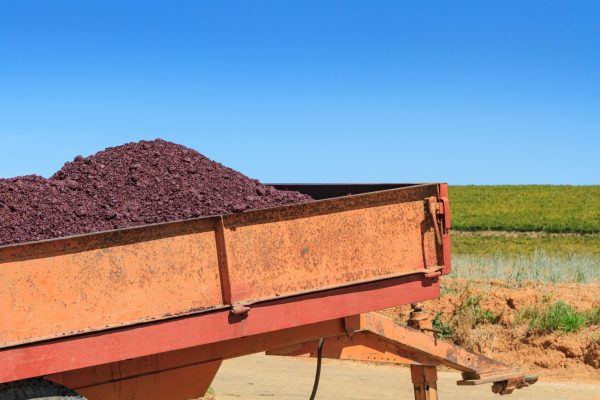 Grape pomace could be used in health supplements, study finds