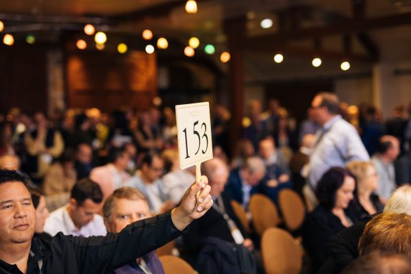 Premiere Napa Valley auction opens on 1 June