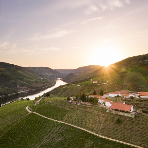 Amorim: ‘Portugal has embarked upon a revolution’