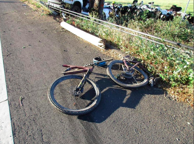 winemaker died in car crash