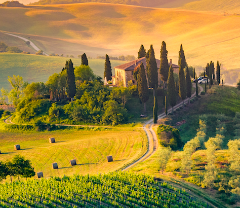 Tuscany bucks the bear market trend