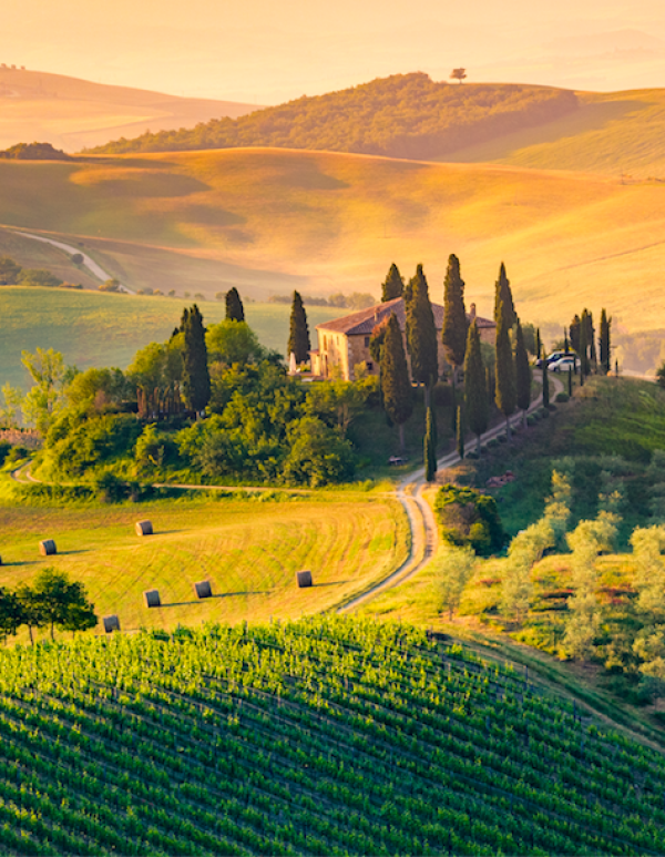 Tuscany bucks the bear market trend