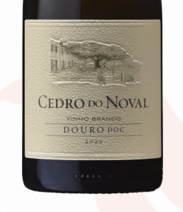 ‘Thrilling prospects’ for white wines from the Douro, declares Seely