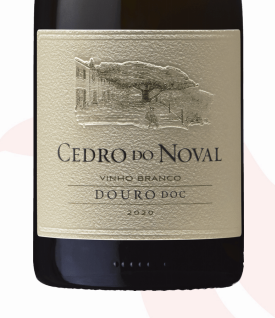 ‘Thrilling prospects’ for white wines from the Douro, declares Seely