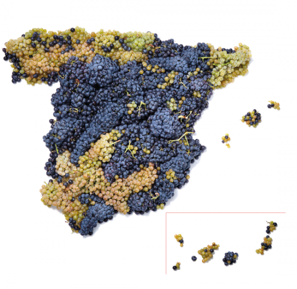 db recommends: Wines from Spain Annual Tasting